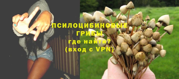 таблы Алзамай
