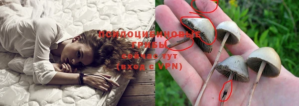меф Алексин