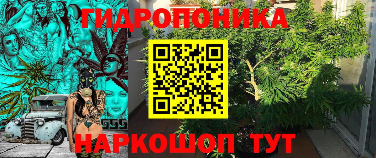 Конопля индика  Вход с VPN  Лиски  Марихуана конопля  Бошки Шишки семена 